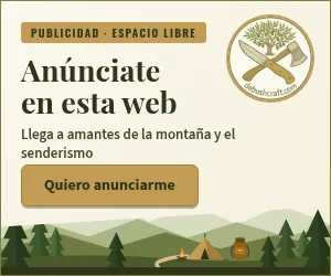 Maqueta del banner de 300×250 (rectángulo): «Anúnciate en esta web», con la etiqueta «Publicidad · espacio libre» y el botón «Quiero anunciarme»